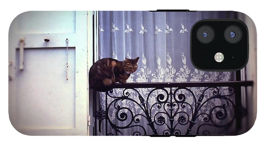 Vintage Travel Cat on a French Balcony 1967 - Phone Case