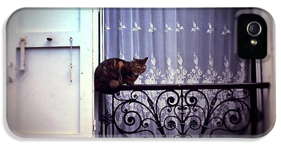 Vintage Travel Cat on a French Balcony 1967 - Phone Case