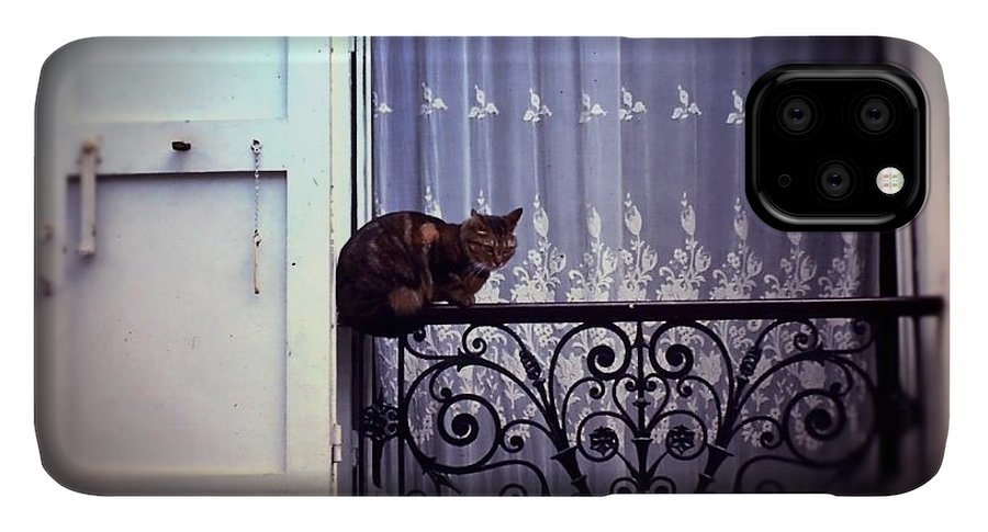 Vintage Travel Cat on a French Balcony 1967 - Phone Case