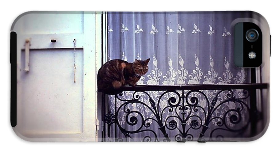Vintage Travel Cat on a French Balcony 1967 - Phone Case