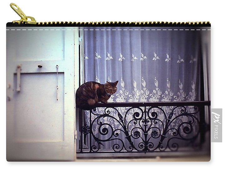 Vintage Travel Cat on a French Balcony 1967 - Carry-All Pouch