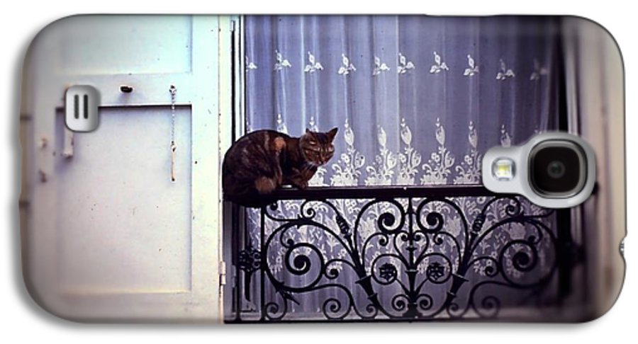 Vintage Travel Cat on a French Balcony 1967 - Phone Case