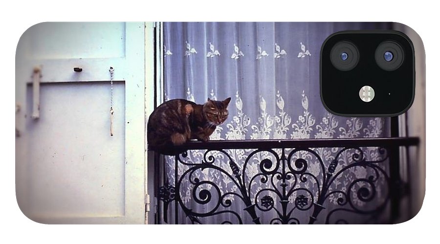Vintage Travel Cat on a French Balcony 1967 - Phone Case