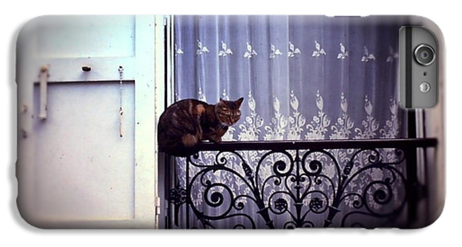 Vintage Travel Cat on a French Balcony 1967 - Phone Case