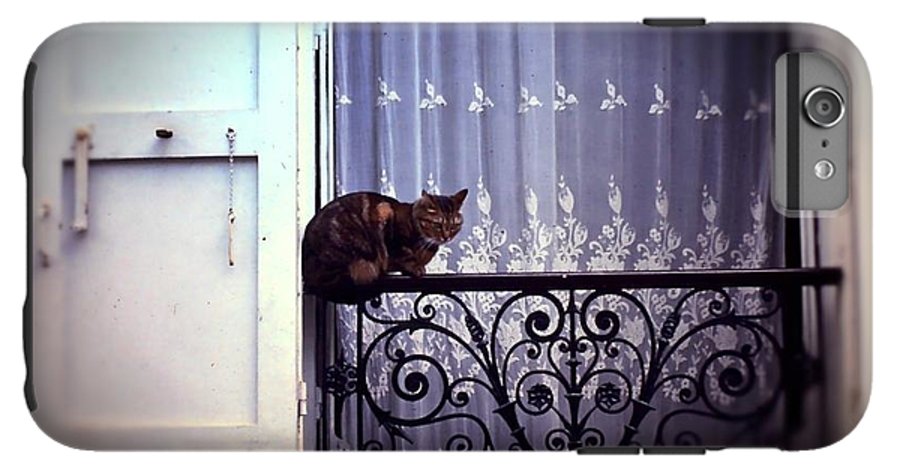 Vintage Travel Cat on a French Balcony 1967 - Phone Case