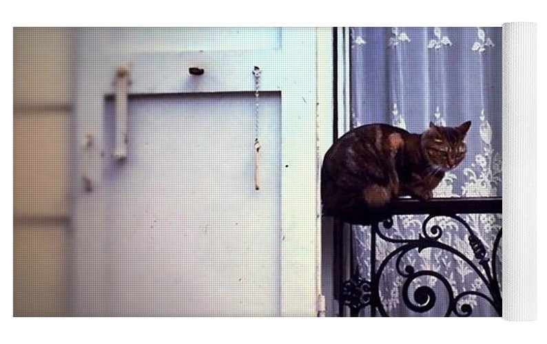 Vintage Travel Cat on a French Balcony 1967 - Yoga Mat
