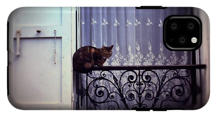 Vintage Travel Cat on a French Balcony 1967 - Phone Case