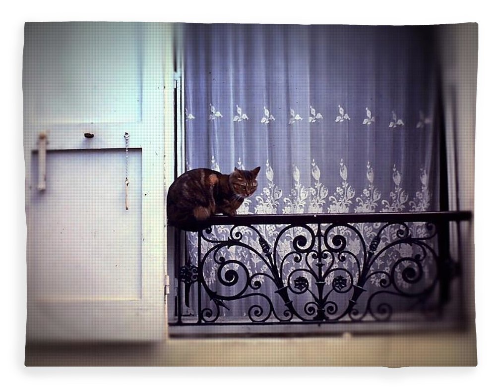 Vintage Travel Cat on a French Balcony 1967 - Blanket