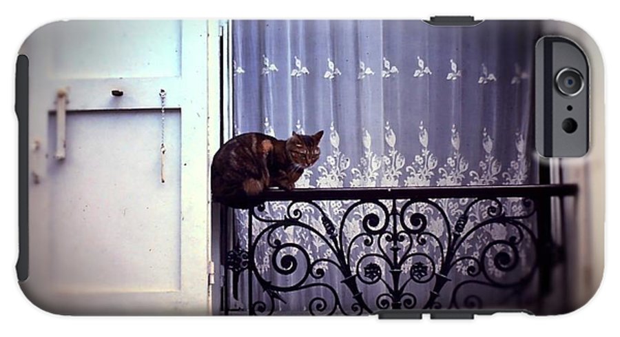 Vintage Travel Cat on a French Balcony 1967 - Phone Case