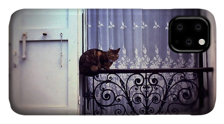 Vintage Travel Cat on a French Balcony 1967 - Phone Case