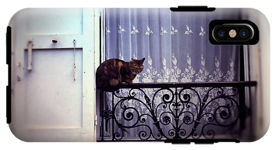 Vintage Travel Cat on a French Balcony 1967 - Phone Case