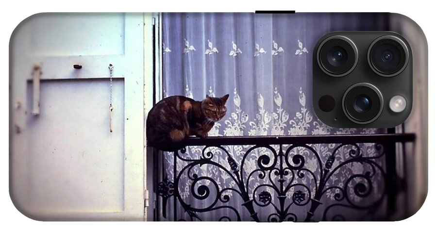 Vintage Travel Cat on a French Balcony 1967 - Phone Case