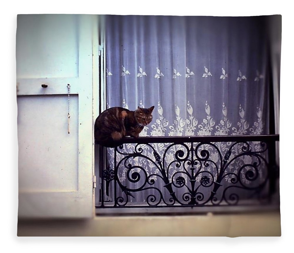 Vintage Travel Cat on a French Balcony 1967 - Blanket