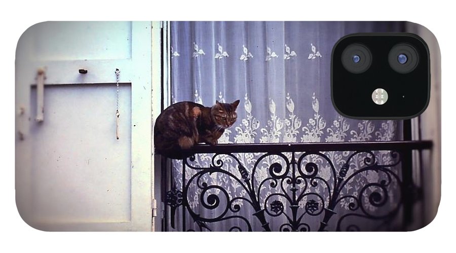 Vintage Travel Cat on a French Balcony 1967 - Phone Case
