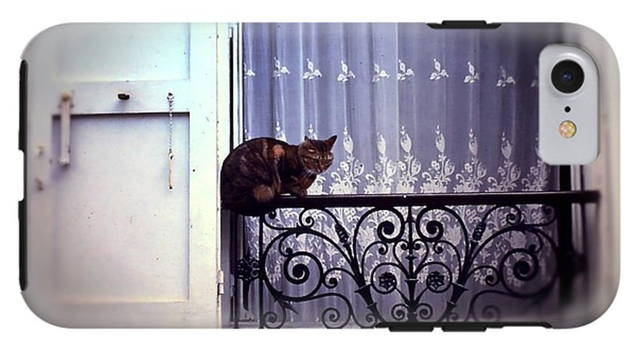 Vintage Travel Cat on a French Balcony 1967 - Phone Case