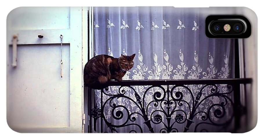 Vintage Travel Cat on a French Balcony 1967 - Phone Case