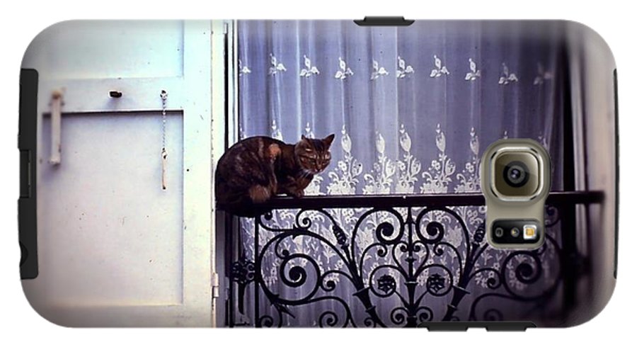 Vintage Travel Cat on a French Balcony 1967 - Phone Case