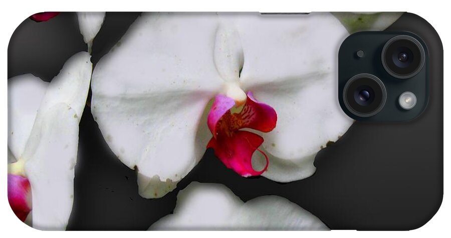White and Pink Orchids - Phone Case