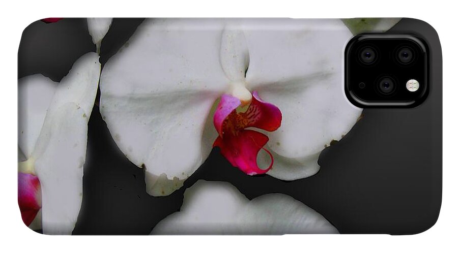 White and Pink Orchids - Phone Case