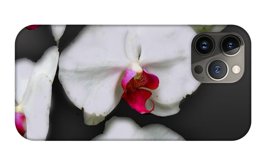 White and Pink Orchids - Phone Case