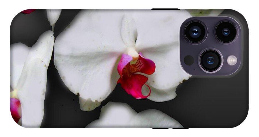 White and Pink Orchids - Phone Case