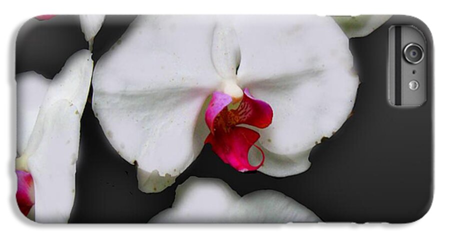 White and Pink Orchids - Phone Case