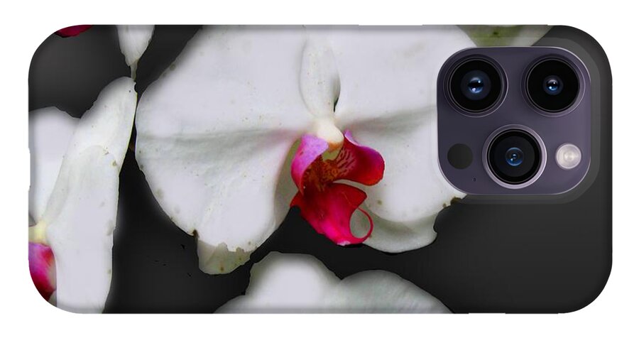 White and Pink Orchids - Phone Case