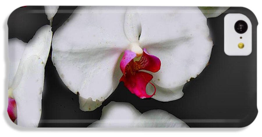 White and Pink Orchids - Phone Case