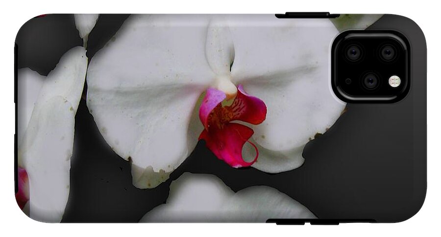 White and Pink Orchids - Phone Case