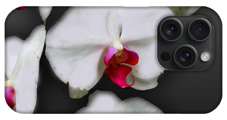 White and Pink Orchids - Phone Case