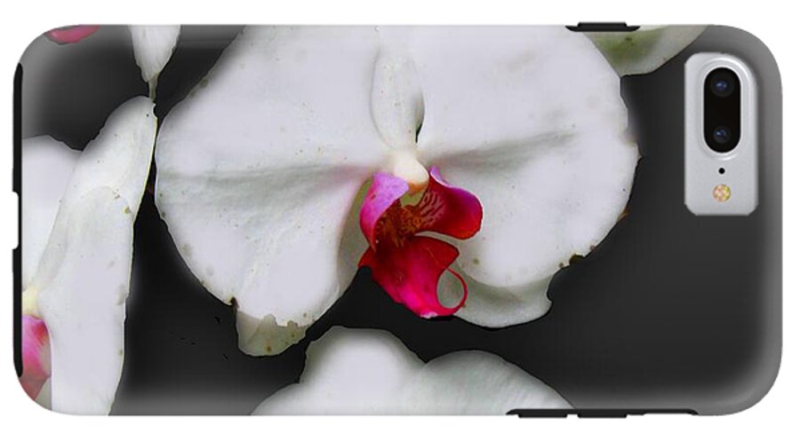 White and Pink Orchids - Phone Case