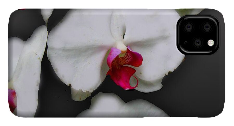 White and Pink Orchids - Phone Case
