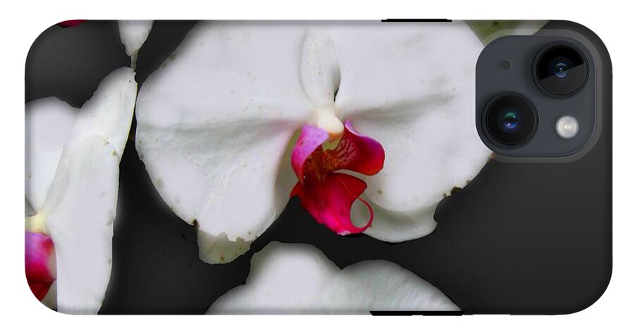 White and Pink Orchids - Phone Case