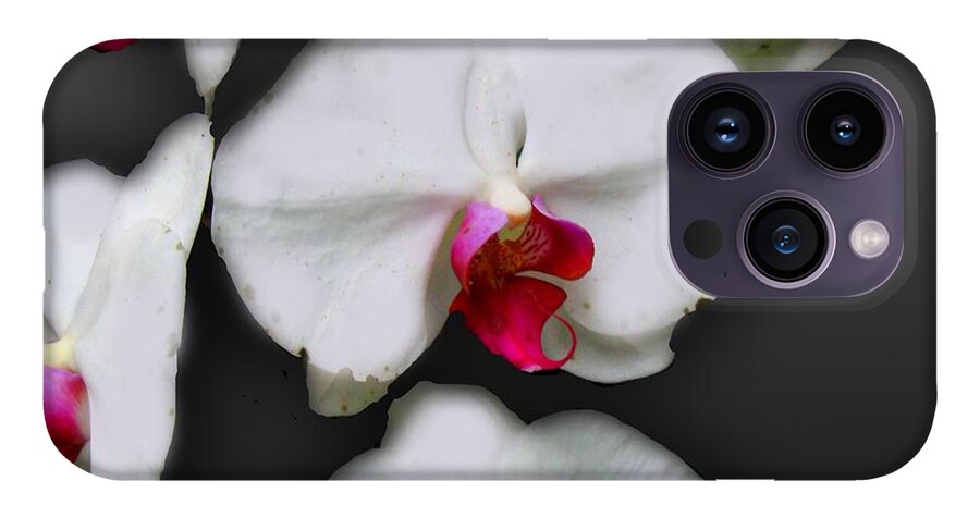 White and Pink Orchids - Phone Case