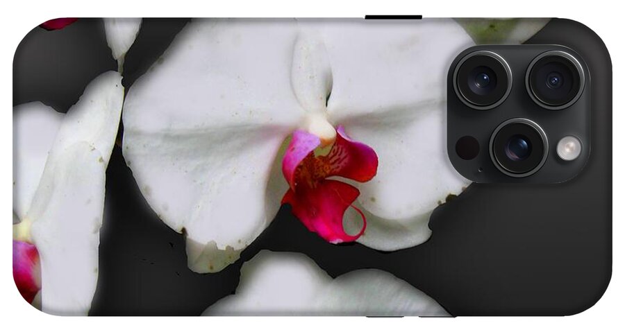 White and Pink Orchids - Phone Case