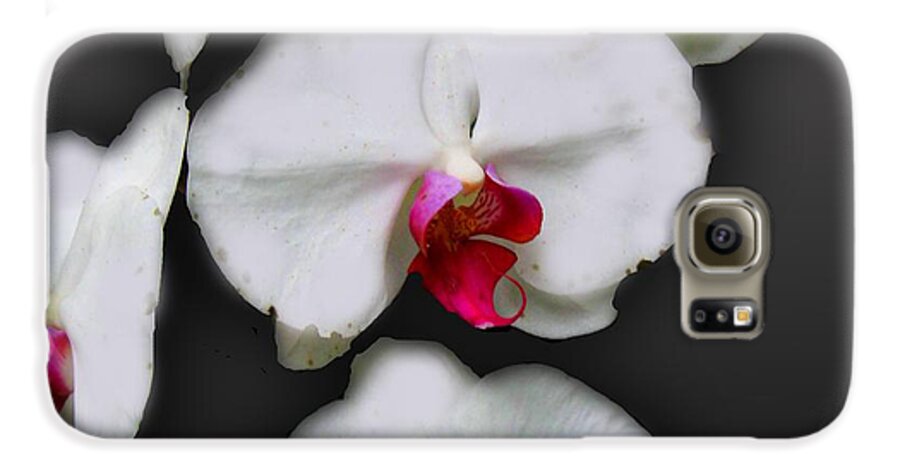 White and Pink Orchids - Phone Case