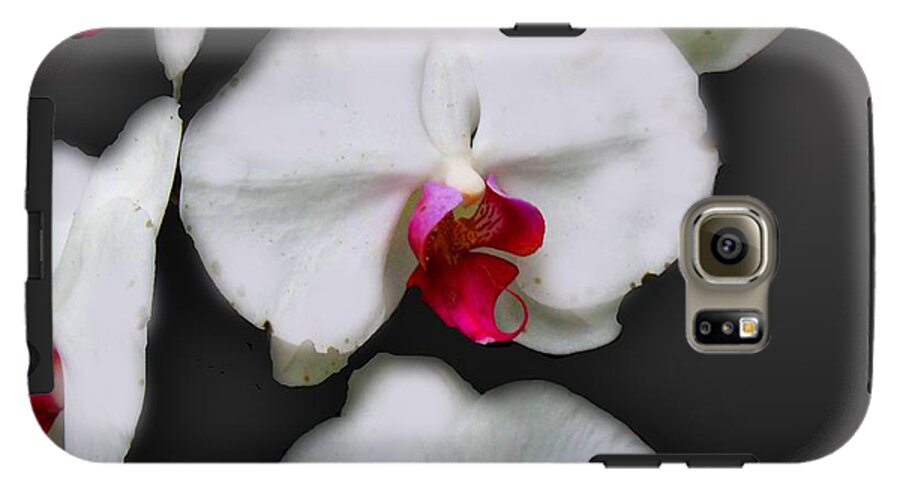 White and Pink Orchids - Phone Case