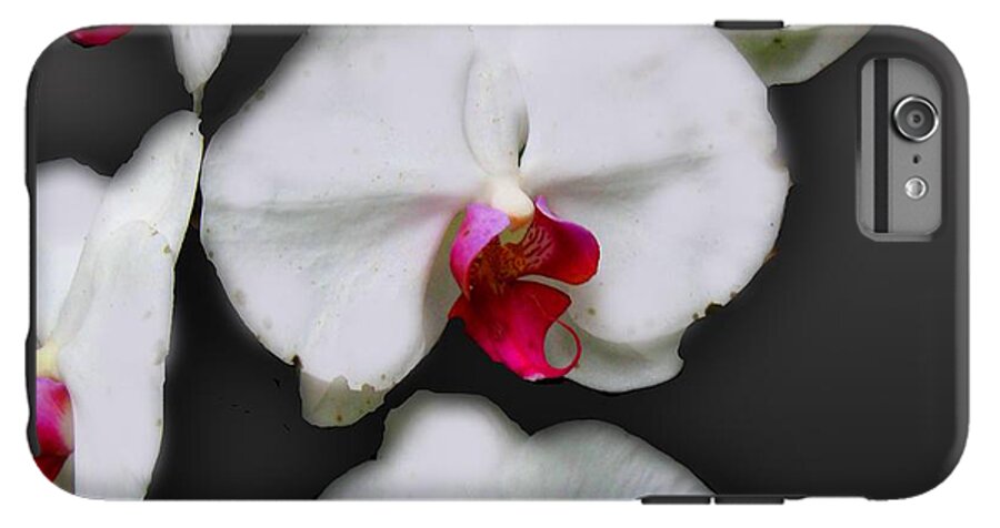White and Pink Orchids - Phone Case