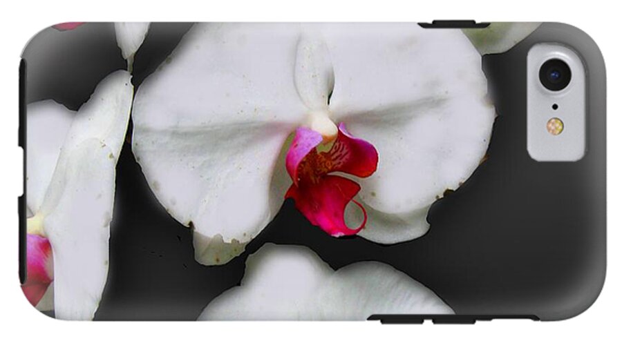 White and Pink Orchids - Phone Case