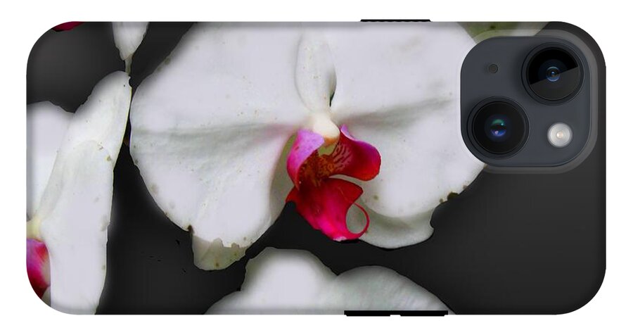 White and Pink Orchids - Phone Case