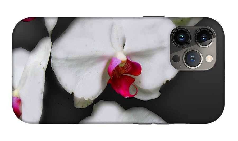 White and Pink Orchids - Phone Case