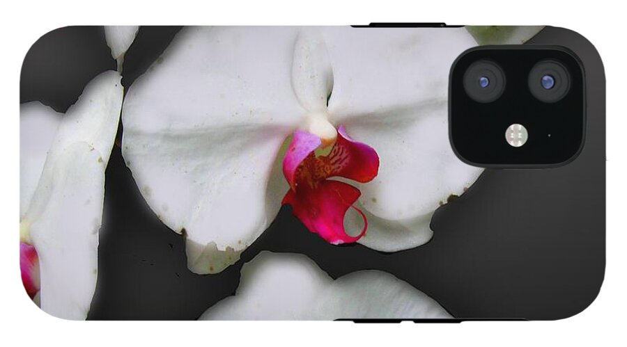 White and Pink Orchids - Phone Case