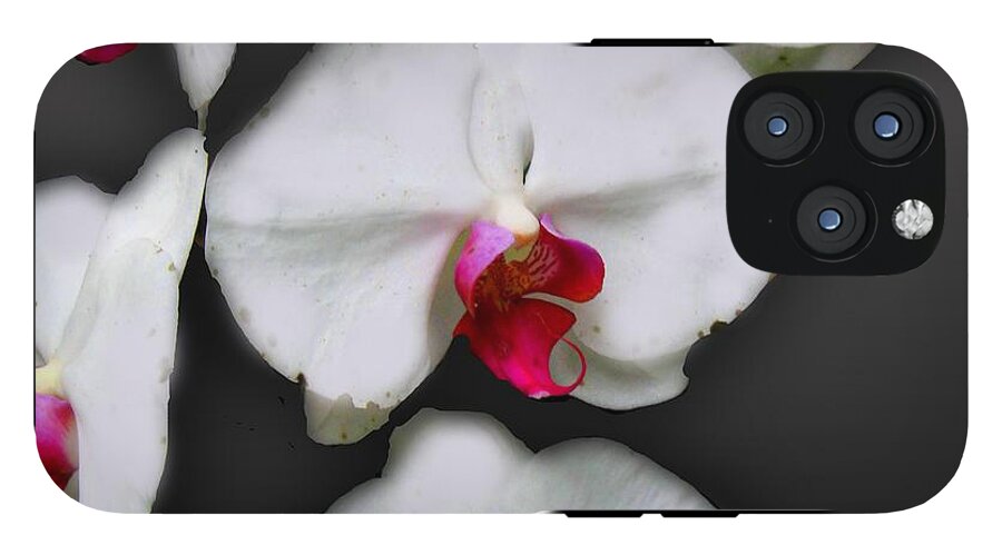 White and Pink Orchids - Phone Case