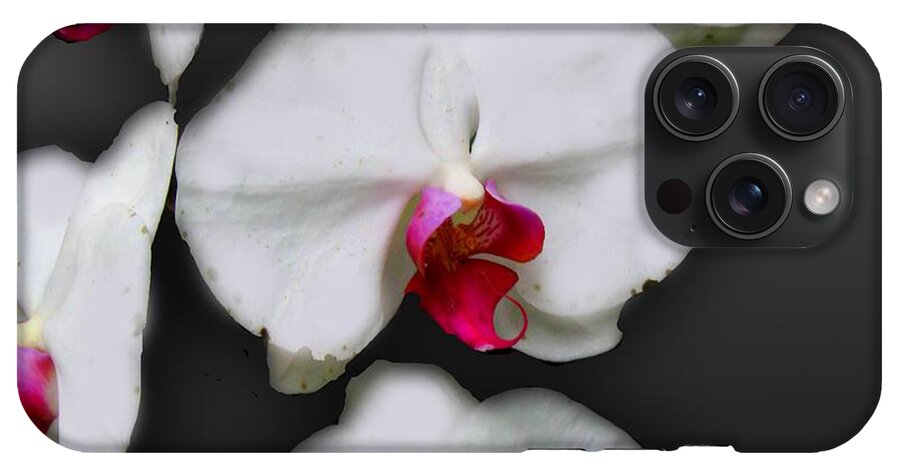 White and Pink Orchids - Phone Case