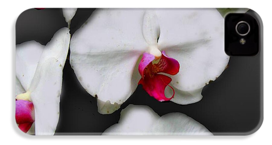 White and Pink Orchids - Phone Case