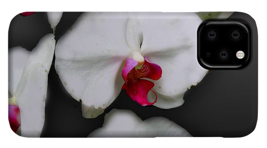 White and Pink Orchids - Phone Case