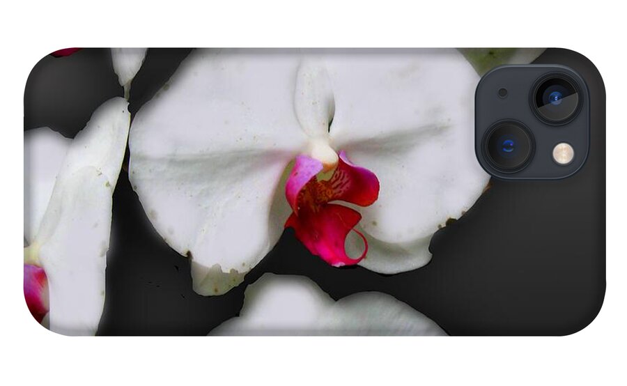 White and Pink Orchids - Phone Case