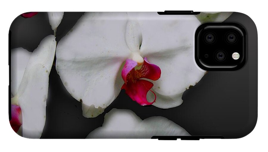 White and Pink Orchids - Phone Case