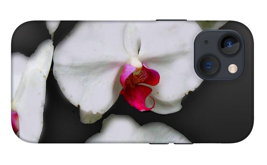 White and Pink Orchids - Phone Case
