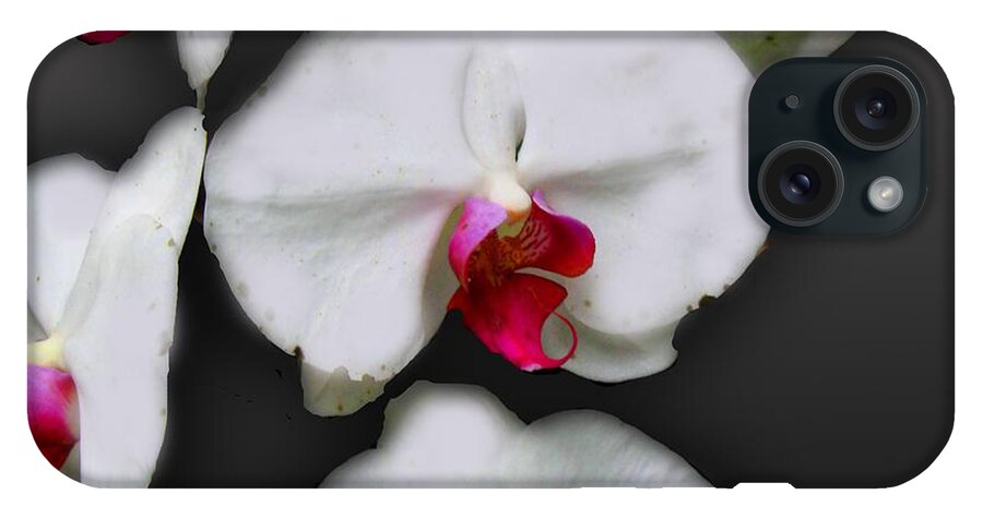 White and Pink Orchids - Phone Case